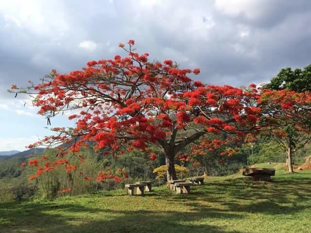 Fazenda Caturama Hotel Areal Luaran gambar