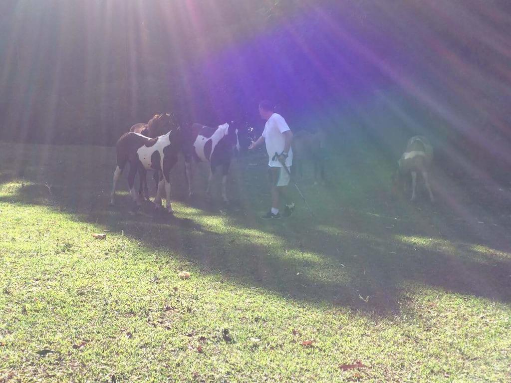 Fazenda Caturama Hotel Areal Luaran gambar